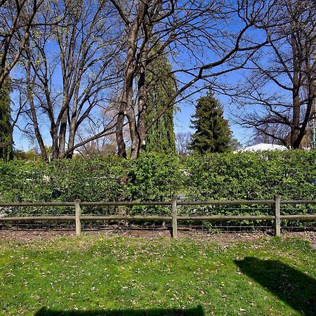 Aberdeen Cottage - Nestled In The Heart Of Arrowtown - New! المظهر الخارجي الصورة